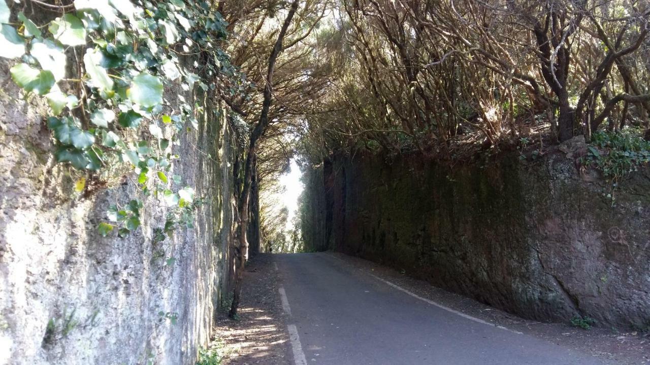 Estudio Los Molinos La Laguna  Dış mekan fotoğraf